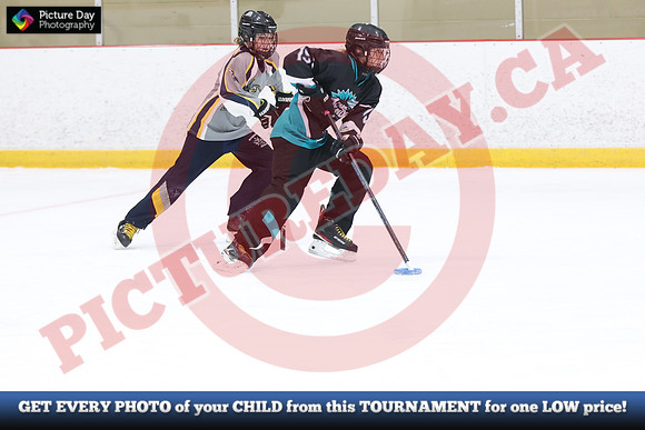 20241215-4821152024 St Marys Sinpers Ringette Tournament