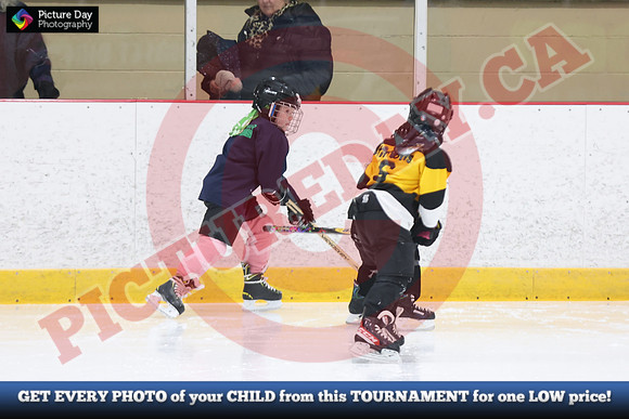20241215-5732152024 St Marys Sinpers Ringette Tournament