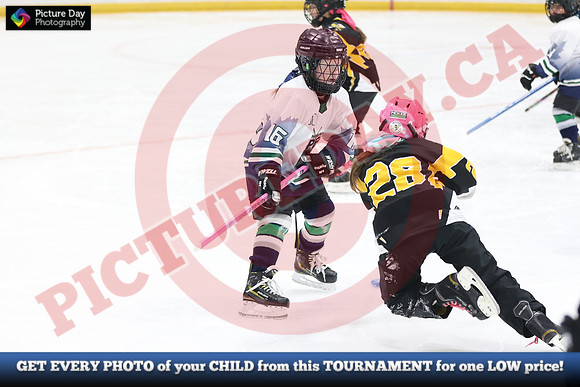 20241214-0799142024 St Marys Sinpers Ringette Tournament