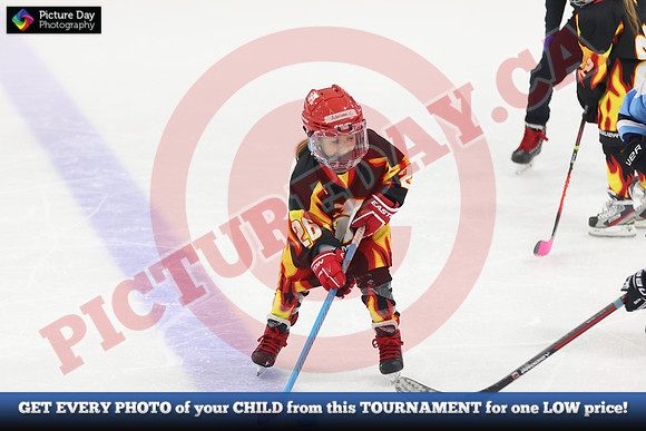 20241108-166882024 Belmont Rangers U7 Rumble