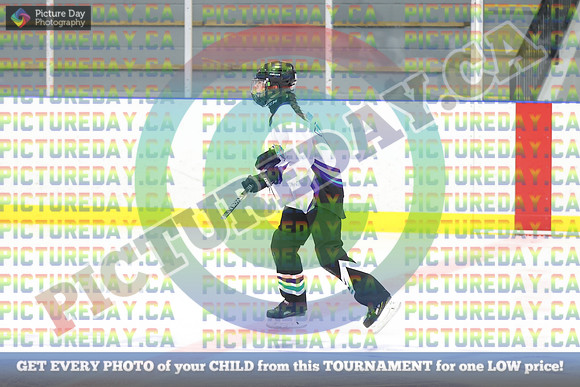 20250228-4445