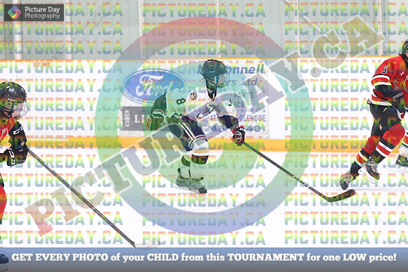 20250131-201131