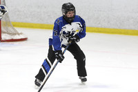 20250103-317032025 Whitby Ringette Tournament