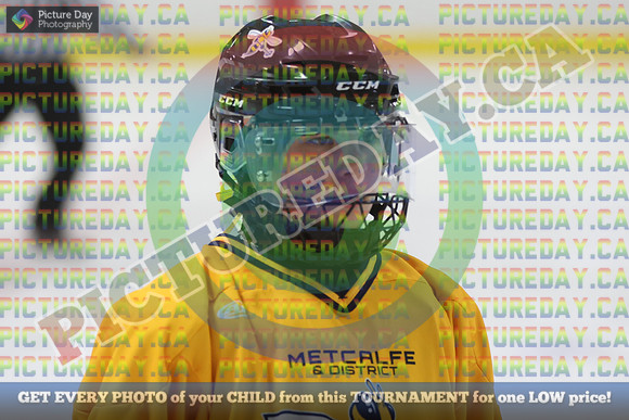 20250208-8489