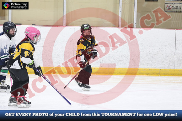 20241214-0756142024 St Marys Sinpers Ringette Tournament