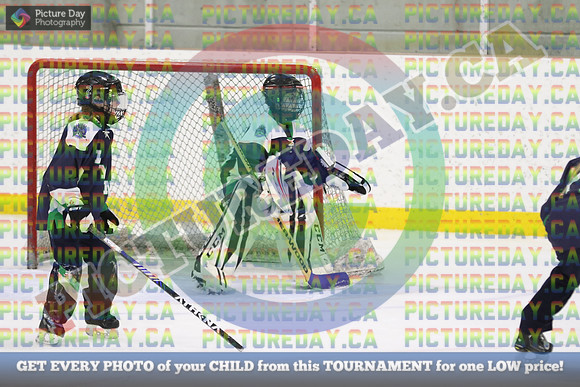 20250406-17205