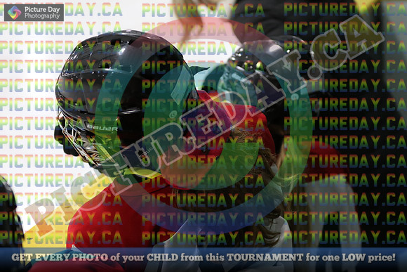 20250201-21594