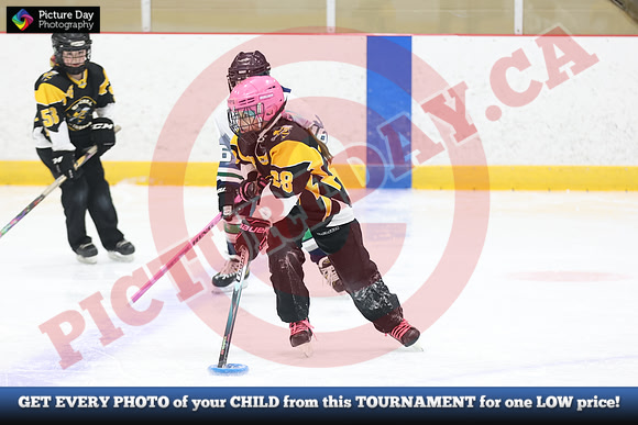 20241214-0804142024 St Marys Sinpers Ringette Tournament