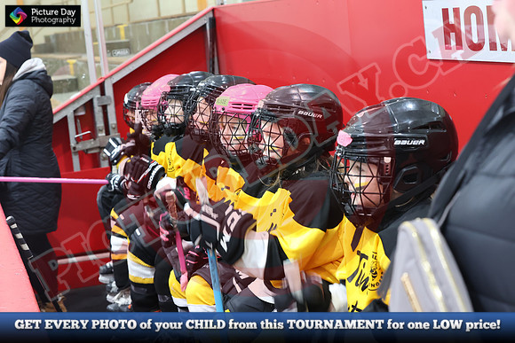 20241215-5723152024 St Marys Sinpers Ringette Tournament