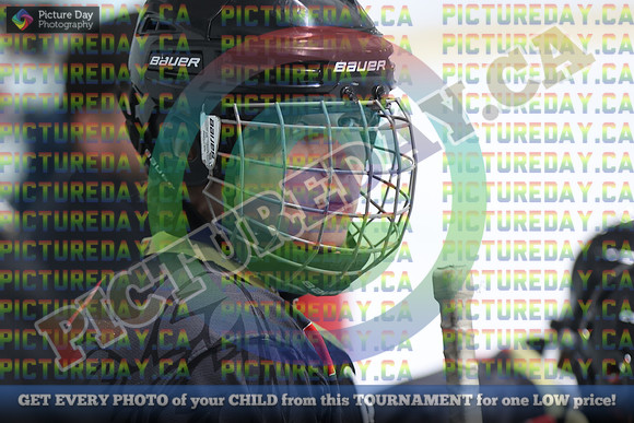 20250201-80381