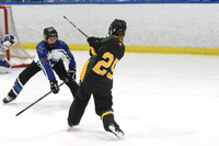 20250103-317132025 Whitby Ringette Tournament