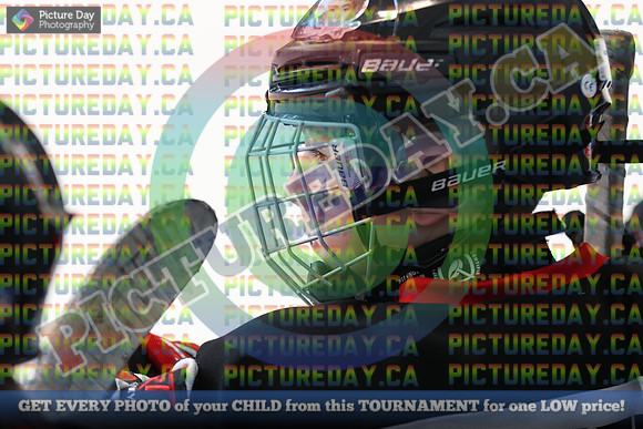 20250222-599222