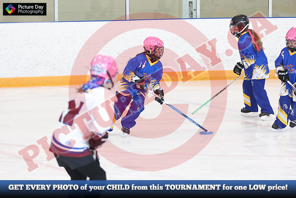 20241214-1269142024 St Marys Sinpers Ringette Tournament