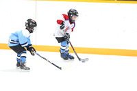 20241108-039182024 Belmont Rangers U7 Rumble