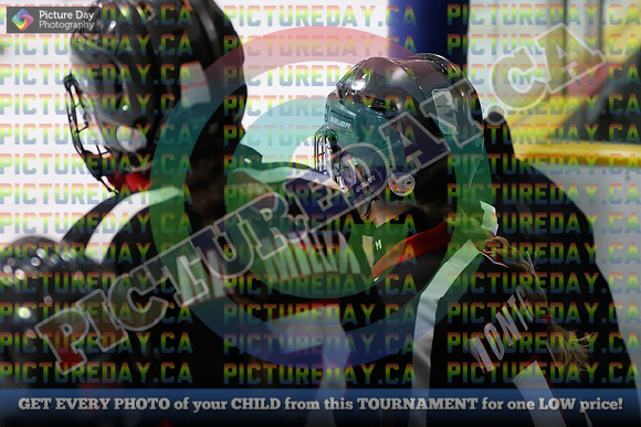 20250201-14815