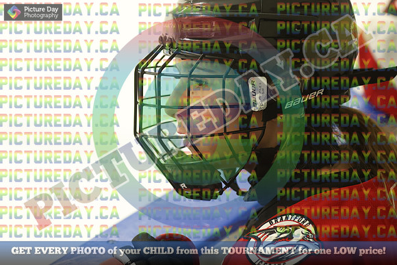 20250131-9401