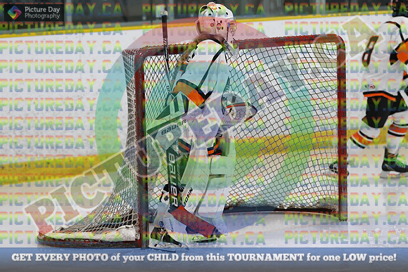 20250202-28726