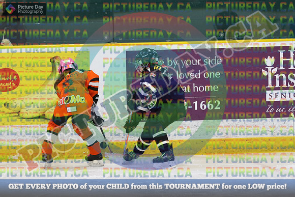 20250201-14407