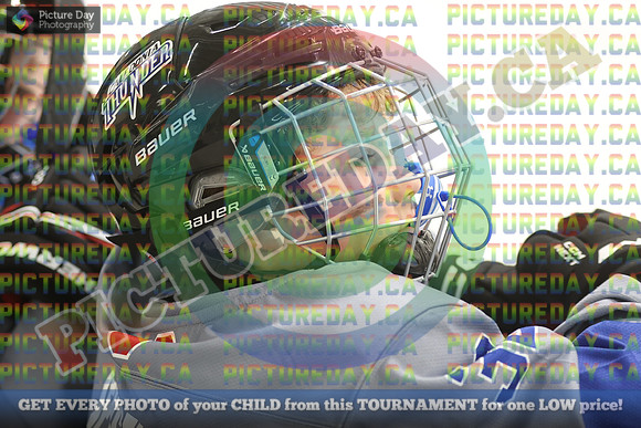 20250308-6046