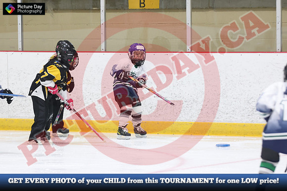 20241214-0792142024 St Marys Sinpers Ringette Tournament