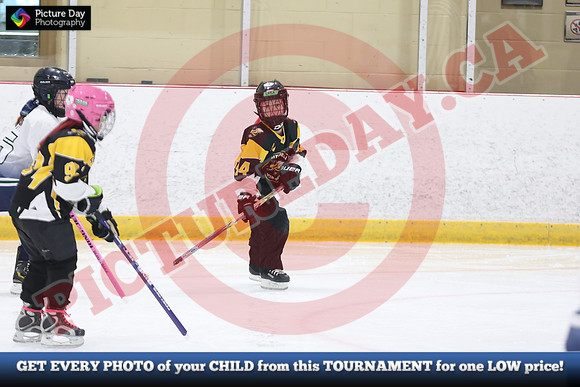 20241214-0755142024 St Marys Sinpers Ringette Tournament