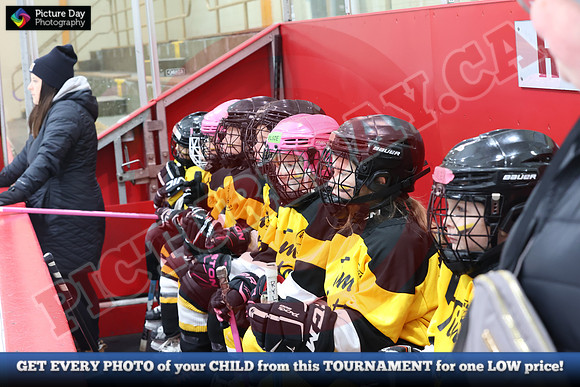 20241215-5725152024 St Marys Sinpers Ringette Tournament
