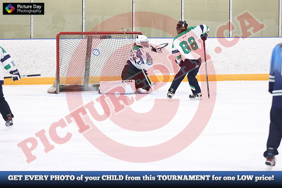 20241215-4125152024 St Marys Sinpers Ringette Tournament