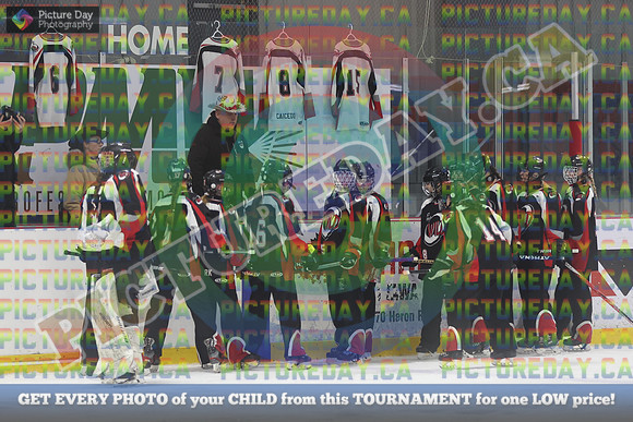 20250322-13003