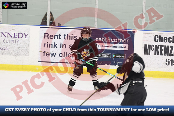 20241116-6844