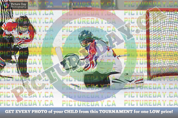 20250208-6153