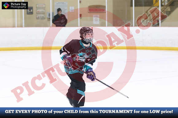 20241215-4819152024 St Marys Sinpers Ringette Tournament