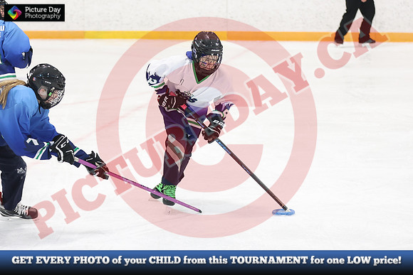 20241215-5097152024 St Marys Sinpers Ringette Tournament