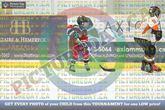 20250131-262131