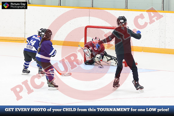 20241108-142182024 Belmont Rangers U7 Rumble