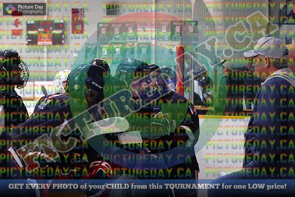 20250131-226431