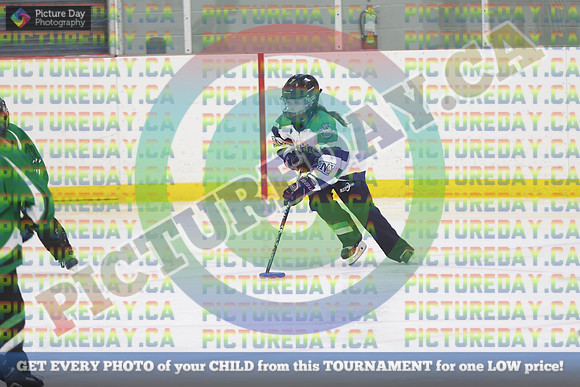 20250404-8302