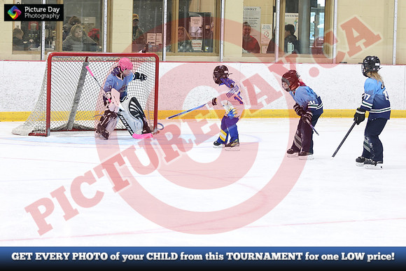 20241215-4168152024 St Marys Sinpers Ringette Tournament