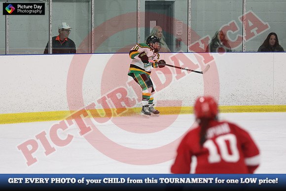 20241025-4029