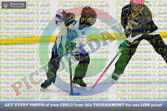 DSC_2901