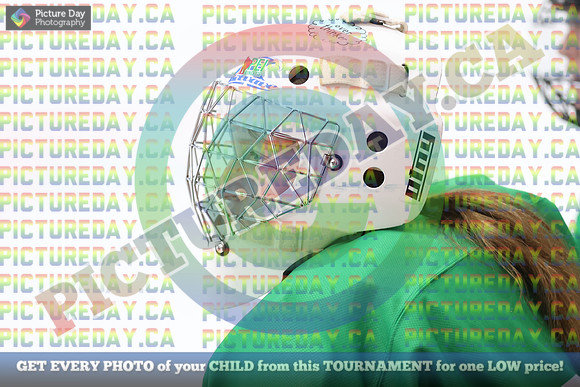 20250403-17678