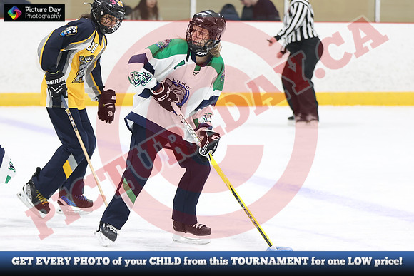 20241214-1120142024 St Marys Sinpers Ringette Tournament