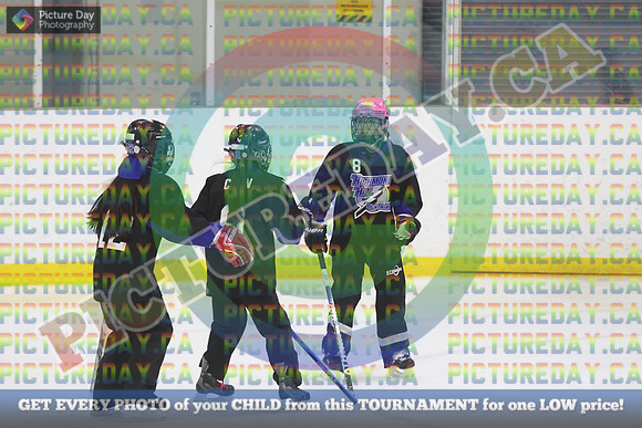 20250405-9309