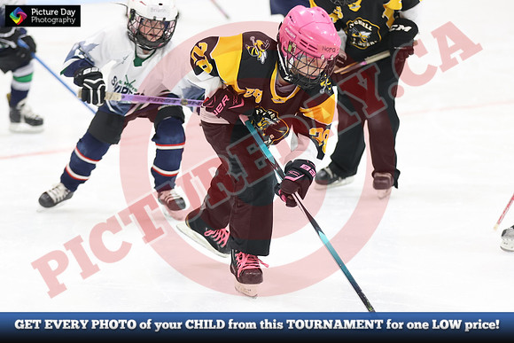 20241214-0767142024 St Marys Sinpers Ringette Tournament
