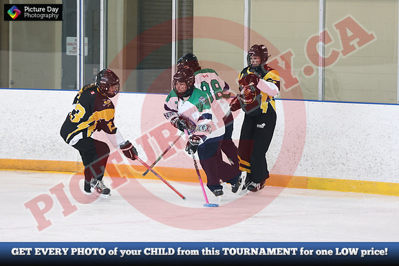 20241214-1604142024 St Marys Sinpers Ringette Tournament