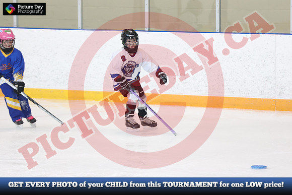 20241214-1294142024 St Marys Sinpers Ringette Tournament