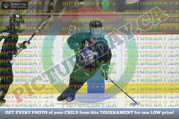 20250228-8910