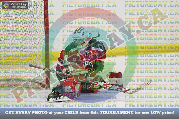 20250131-9409