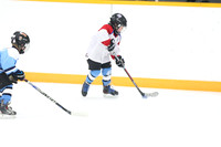 20241108-038982024 Belmont Rangers U7 Rumble