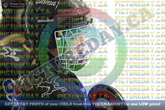 20250208-78258