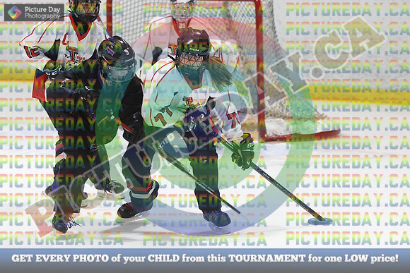 20250103-072032025 Whitby Ringette Tournament